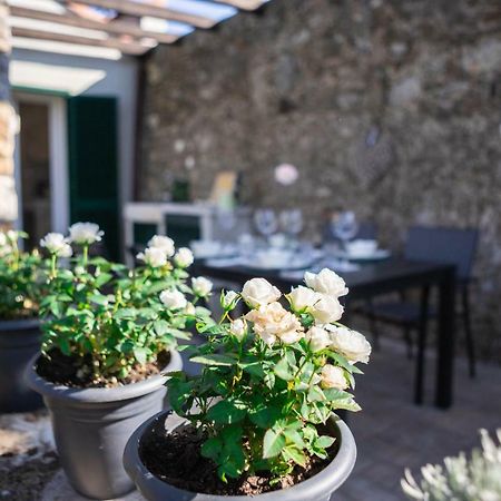 Gardenhouse Sarzana Apartment Exterior photo